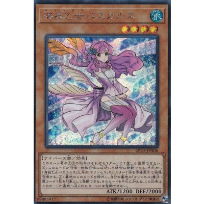 〔状態B〕海晶乙女パスカルス【シークレット】{LVDS-JPA06}《モンスター》