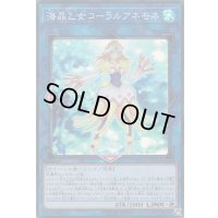 〔状態B〕海晶乙女コーラルアネモネ【スーパー】{LVDS-JPB06}《リンク》