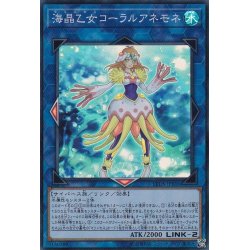 画像1: 〔状態B〕海晶乙女コーラルアネモネ【スーパー】{LVDS-JPB06}《リンク》