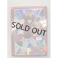 スリーブ『MasterofHERO(カードなし)』70枚入り【-】{-}《スリーブ》