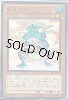 遊戯王 貫ガエル 韓国版 超激レアカード！！！かもしれない 51iprF526vL._UF350,350_QL50_.jpg