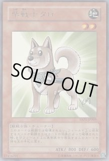 【激レア！？】遊戯王　エラーカード　柴戦士タロ　ふりがなズレ 激レア！？】遊戯王 エラーカード 柴戦士タロ ふりがなズレ