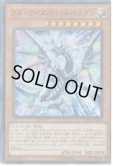 青眼 カードラッシュ 遊戯王 青眼 カードラッシュ 遊戯王
