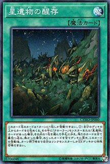 ☆アジア☆星杯の神子イヴ【20thシークレット】{アジアDANE