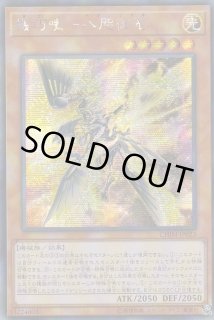 51L323sD1LL._UF350,350_QL50_.jpg