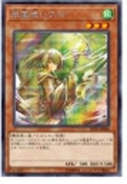 画像1: 〔状態B〕風霊使いウィン【シークレット】{DCP1-JP004}《モンスター》 (1)