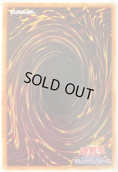 画像3: 〔中国表記版〕☆アジア☆アクセスコードトーカー【20thシークレット】{アジアETCO-JP046}《リンク》 (3)