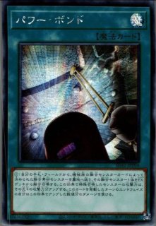 銀河眼の残光竜 20thシークレットレア LGB1-JP029 PSA鑑定済み