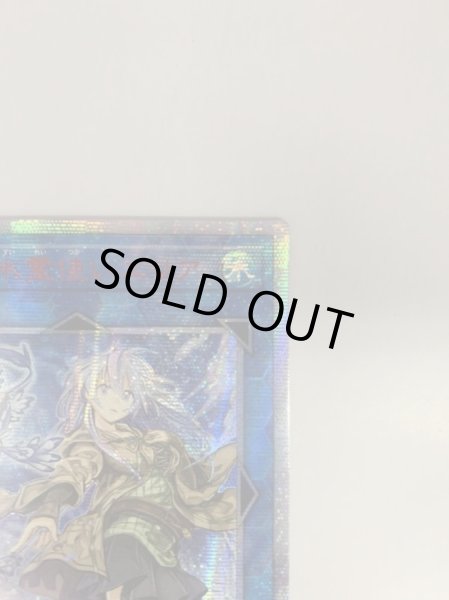 画像3: 〔中国表記版〕☆アジア☆清冽の水霊使いエリア【20thシークレット】{アジアETCO-JP055}《リンク》 (3)