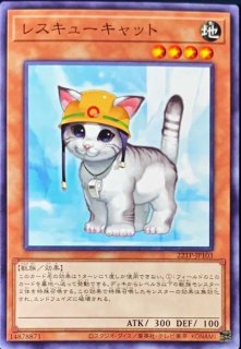 遊戯王 キャットレディ psa10 ノーマル 初期 volume6 遊戯王 キャットレディ psa10 ノーマル 初期 volume6 遊戯王OCG