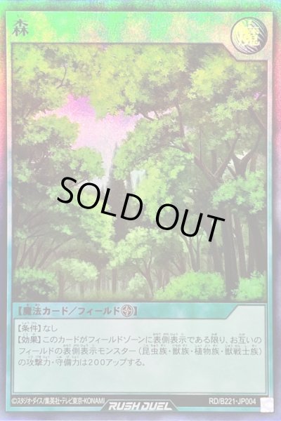 画像1: 〔状態A-〕森【スーパー】{RD/B221-JP004}《RD魔法》 (1)