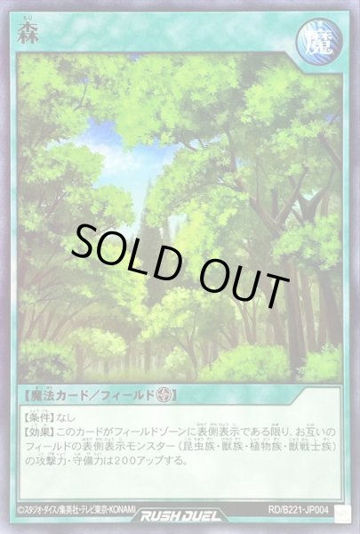 画像1: 森【ノーマル】{RD/B221-JP004}《RD魔法》 (1)