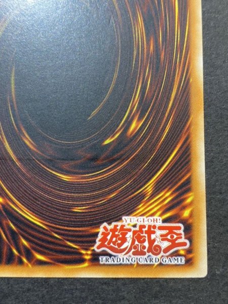 画像11: 〔状態B〕☆旧アジア☆オプションハンター【レリーフ】{SOI-AE058}《コレクター向け》 (11)