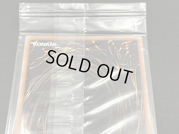 画像5: 〔状態A-〕(未開封)金牙の王ランディア/KingLandiatheGoldfang【スーパー】{2012-AE003}《エクシーズ》 (5)