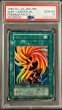 画像1: 〔PSA10鑑定済〕ライオンの儀式(初期)【ウルトラ】{-}《魔法》 (1)