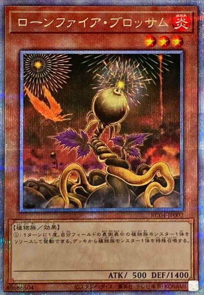 画像1: 〔状態B〕ローンファイアブロッサム【クォーターセンチュリーシークレット】{RC04-JP002}《モンスター》 (1)
