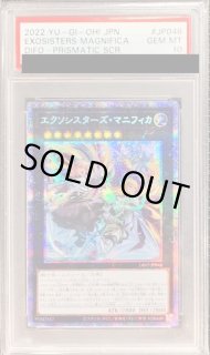 エクソシスターズマニフィカ - カードラッシュ[遊戯王]