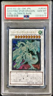 PSA10鑑定済〕ダークネクロフィア【レリーフ】{LN-14}《モンスター》