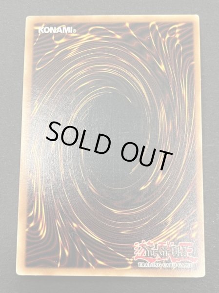 画像5: 〔状態B〕☆英語版☆ブラックローズドラゴン【ホログラフィック】{CSOC-EN039}《シンクロ》 (5)