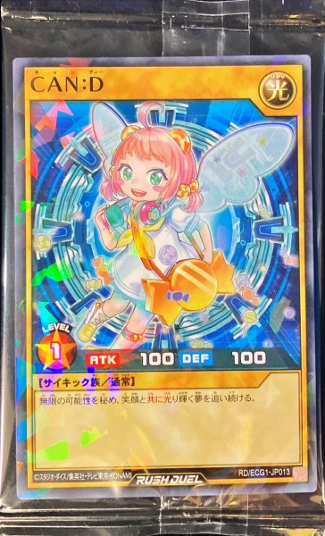 画像1: (未開封)CAND【ノーマルパラレル】{RD/ECG1-JP013}《RDモンスター》 (1)