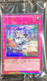 未開封商品 - カードラッシュ[遊戯王]