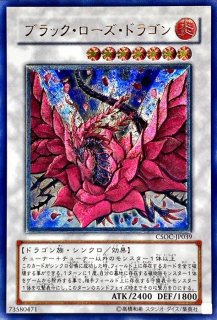 状態B〕☆アジア☆抹殺の指名者【シークレット】{アジア21PP