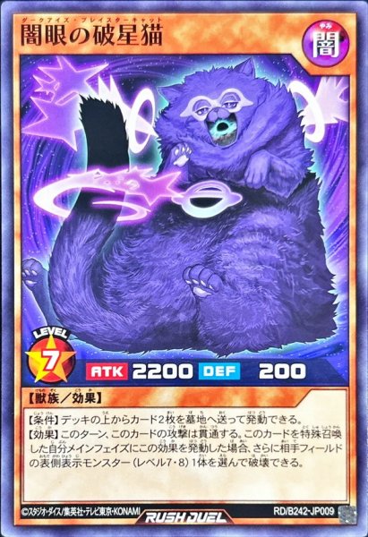 画像1: 闇眼の破星猫【ノーマル】{RD/B242-JP009}《RDモンスター》 (1)