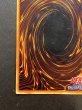 画像10: 〔状態C〕ホーリーナイトドラゴン【シークレット】{初期}《モンスター》 (10)