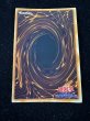 画像5: 〔状態B〕タートルタイガー(初期)【ウルトラシークレット】{-}《モンスター》 (5)