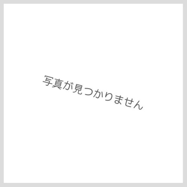 画像1: ジェネラルデーモン【ノーマル】{DE01-JP129}《モンスター》 (1)