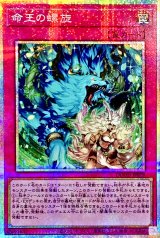 遊戯王 アジア版 命王の螺旋 プリズマティックシークレットレア2枚 命王の螺旋【プリズマティックシークレット】{DOOD-JP079}《罠》