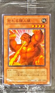 神竜エクセリオン　旧アジアレリーフ　psa9 状態A-〕☆旧アジア☆神竜エクセリオン【レリーフ】{SOI-AE033