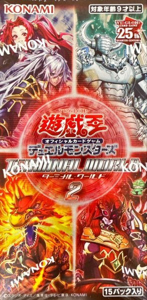 画像1: TERMINALWORLD2【-】{-}《未開封BOX》 (1)