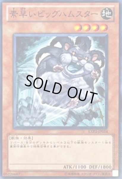 画像1: 〔状態A-〕素早いビッグハムスター【ノーマル】{EXP3-JP034}《モンスター》 (1)