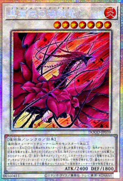 画像1: ☆アジア☆黒薔薇の破滅竜【プリズマティックシークレット】{アジアDOOD-JP039}《シンクロ》 (1)