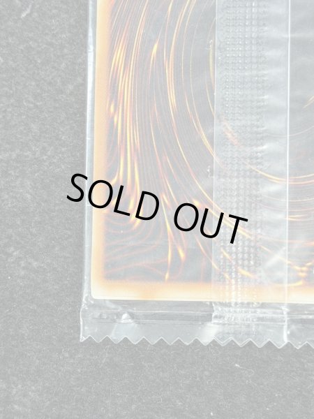 画像10: 〔状態B〕(未開封)メタルデビルゾア【シークレット】{-}《モンスター》 (10)