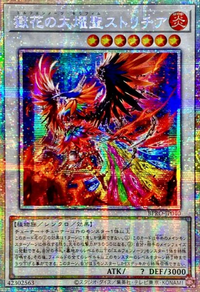 画像1: ☆アジア☆獄花の大燿聖ストリチア【プリズマティックシークレット】{アジアBPRO-JP040}《シンクロ》 (1)