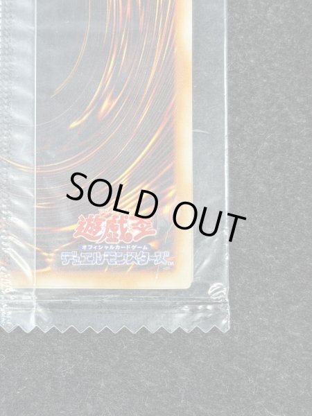 画像11: 〔状態B〕(未開封)メタルデビルゾア【シークレット】{-}《モンスター》 (11)