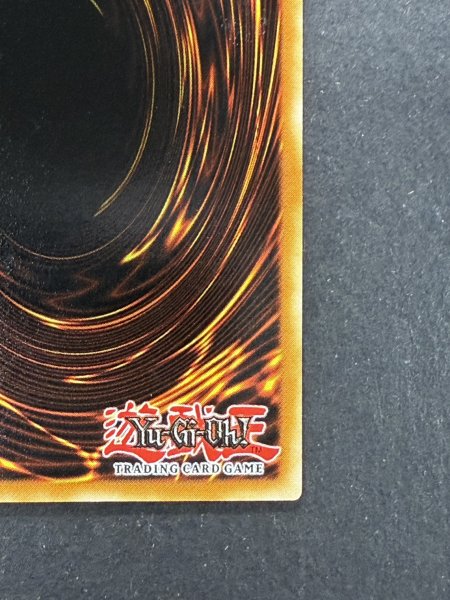 画像11: 〔状態B〕BlueeyesWhiteDragon【シークレット】{DDS-001}《モンスター》 (11)