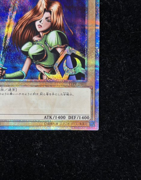 画像4: 〔状態B〕女剣士カナン【20thシークレット】{TTPR-JP001}《モンスター》 (4)