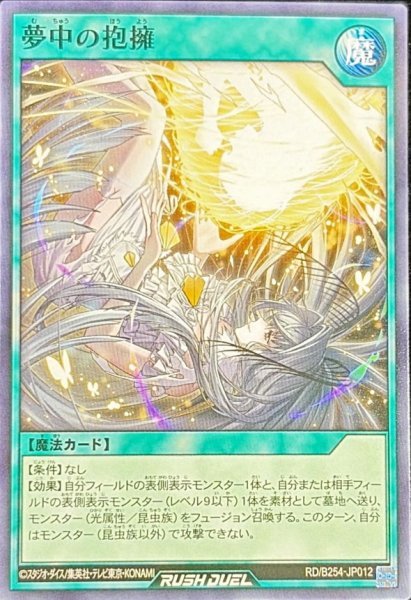 画像1: 夢中の抱擁【ノーマル】{RD/B254-JP012}《RD魔法》 (1)