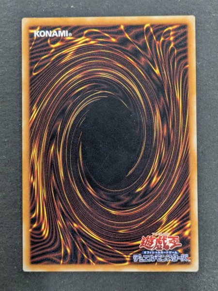 画像7: 真紅眼の黒竜【レリーフ】{301-056}《モンスター》 (7)