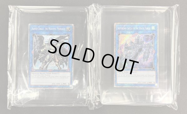 WCS2019優勝＆準優勝プロモ〕天元の荒鷲王/KaiserEagletheHeavens