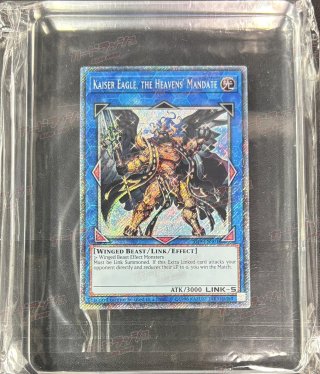 カードラッシュ】遊戯王が日本最大級の通販サイト