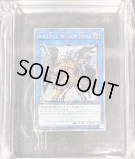 WCS 2019 - カードラッシュ[遊戯王]