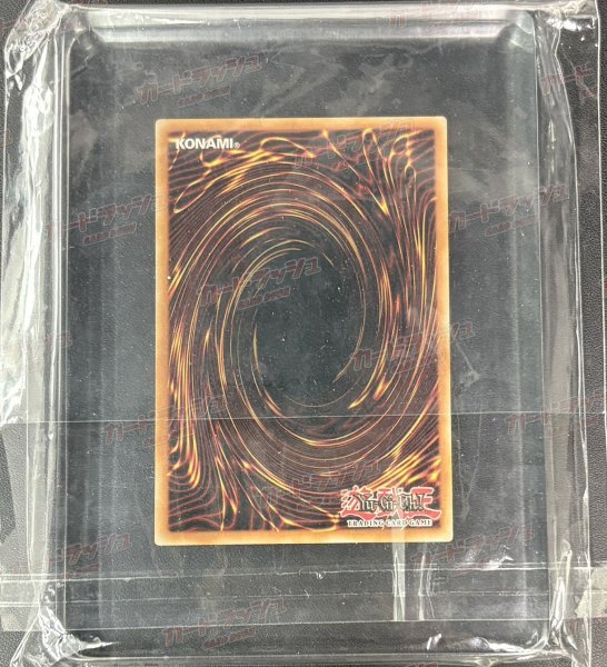 画像3: 〔WCS2019優勝＆準優勝プロモ〕天元の荒鷲王/KaiserEagletheHeavens'Mandate＆黒き森の航天閣/SkyfaringCastleoftheBlackForest【シークレット】{2019-EN001,2019-EN002}《リンク》 (3)