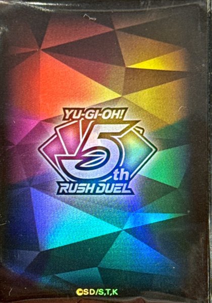 画像1: スリーブ『RD5thANNIVERSARY』100枚入り【-】{-}《スリーブ》 (1)