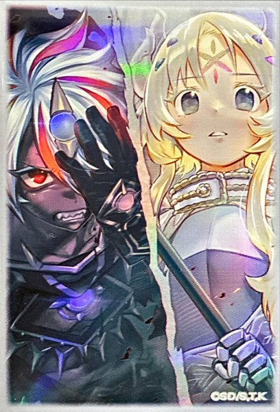 画像1: スリーブ『TheFallenTheVirtuous』50枚入り【-】{-}《スリーブ》 (1)