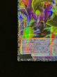画像5: 四天の龍スターヴヴェノムフュージョンドラゴン【グランドマスター】{LOCR-JP013}《融合》 (5)