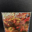 画像3: 〔状態A-〕スカーレッドノヴァドラゴンバーニングソウル【グランドマスター】{LOCR-JP008}《シンクロ》 (3)